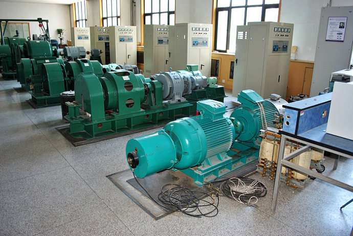 雷州某热电厂使用我厂的YKK高压电机提供动力
